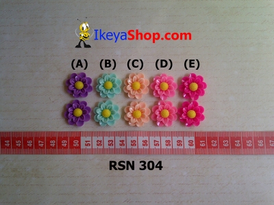 rsn 304  large2